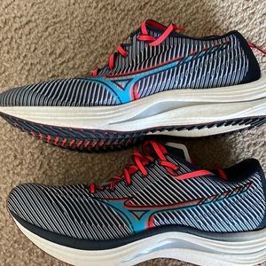 Mizuno wave rebellion